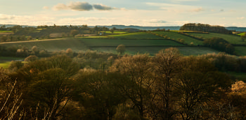 View from Hardwick Jamie Weinbren
Michael Weinbren Image from website: https://www.mw-gallery.photos/